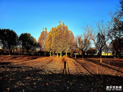 【斑斕蕭瑟】晨光絮語(yǔ)