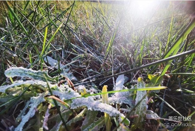 【秋意濃】清晨