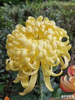 【斑斕蕭瑟】轉(zhuǎn)瞬即逝的秋季