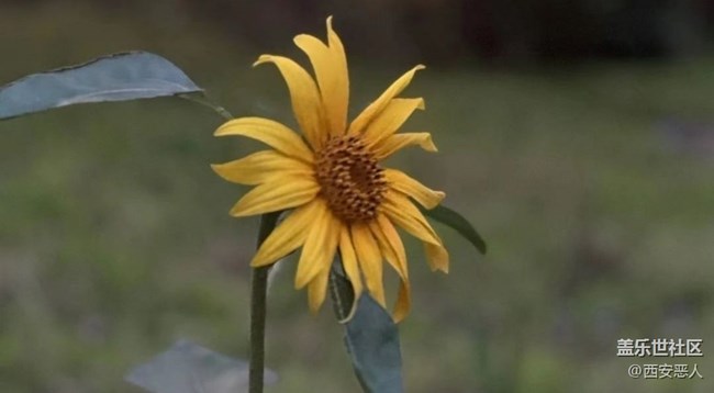 【秋意濃】秋日慢生活