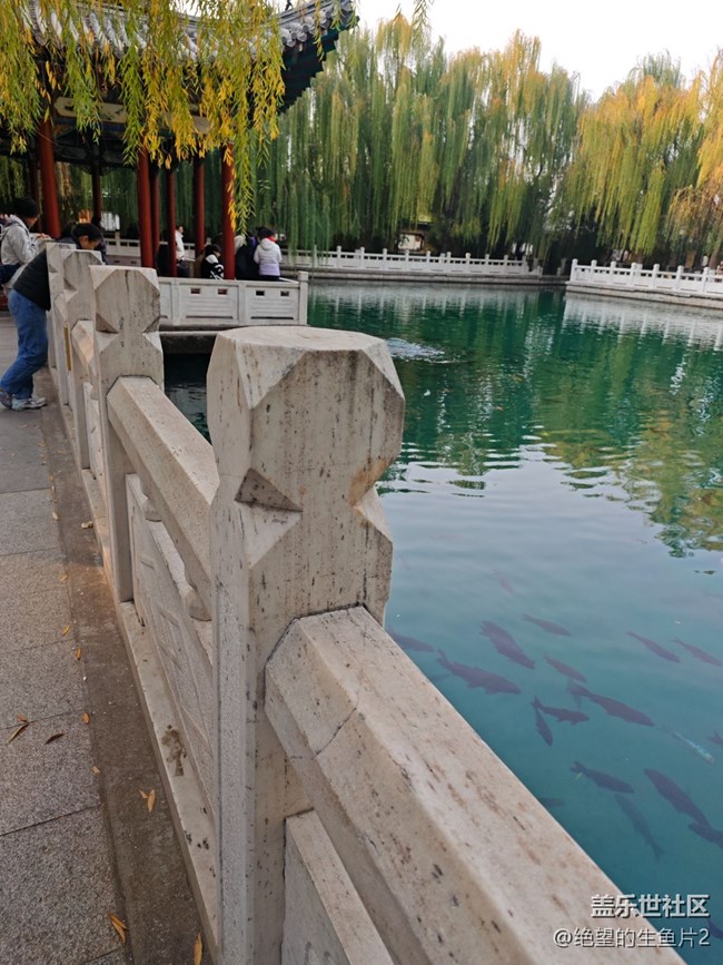 【濟(jì)南星部落】11月23日濟(jì)南星部落線下活動(dòng)之泉城fold6品鑒會(huì)