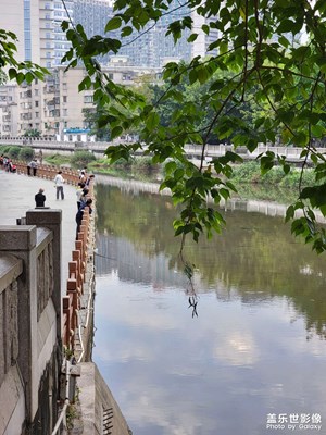 【斑斕蕭瑟】+周末出門隨手拍