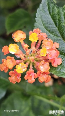 【斑斕蕭瑟】+ 冬日景色