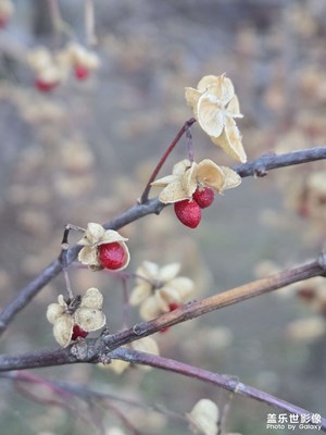 【見微知著】+秋去冬來