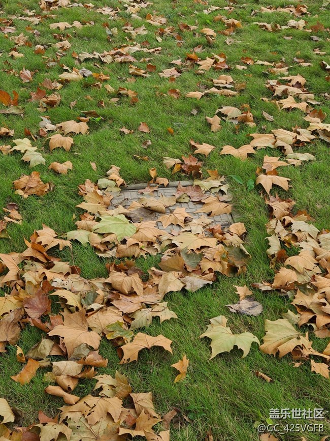 【秋意濃】+秋天的戶外