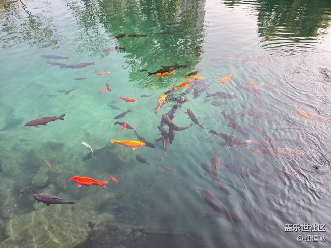 濟(jì)南星部落Fold6系列品鑒會回顧 濟(jì)南星部落Fold6系列品鑒會回顧