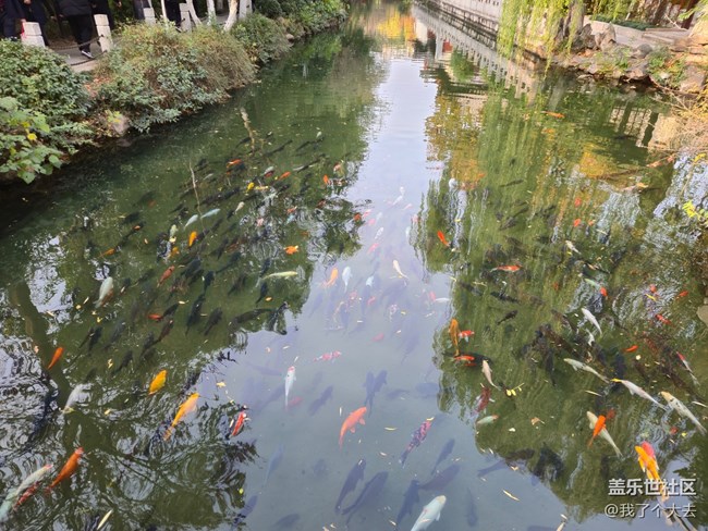 體驗(yàn)品鑒Fold6系列