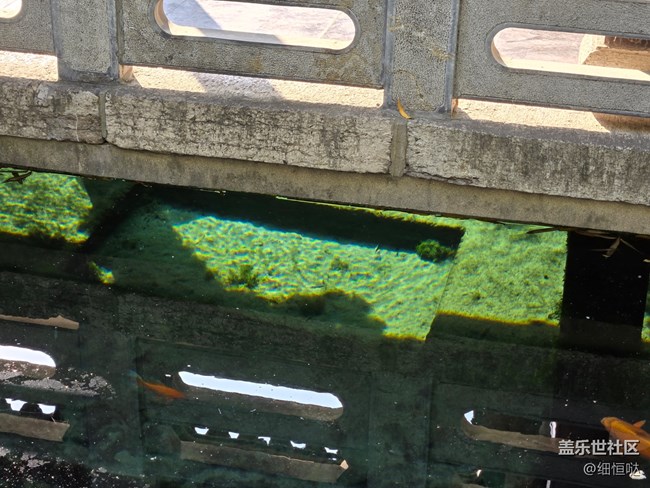 濟(jì)南星部落Fold6系列品鑒會回顧 濟(jì)南星部落Fold6系列品鑒會回顧