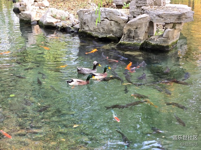 濟(jì)南星部落Fold6系列品鑒會回顧 濟(jì)南星部落Fold6系列品鑒會回顧