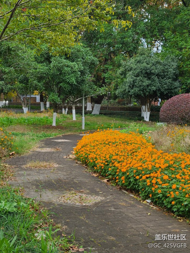 【秋意濃】+秋天的戶外