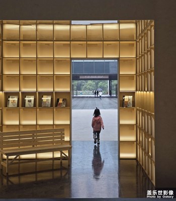 【斑斕蕭瑟】+?秋日影像