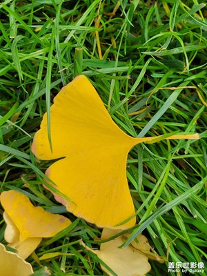 【見微知著】+秋天不回來