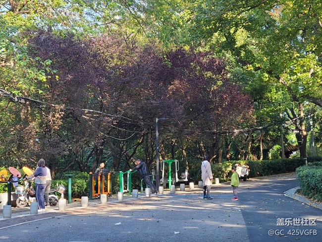 #秋天的道路——晴朗的秋天