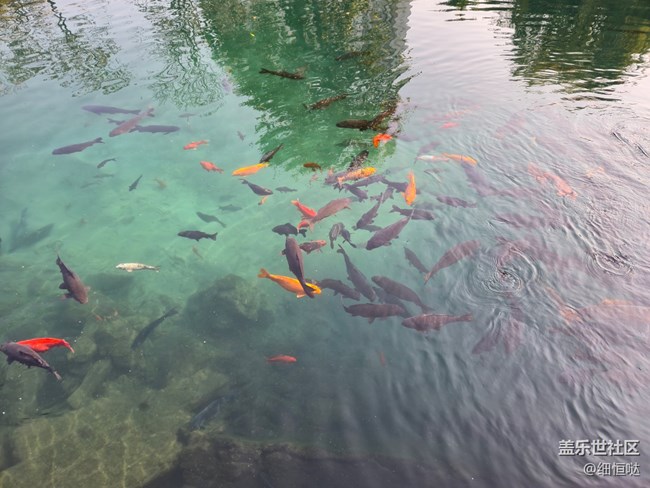 濟(jì)南星部落Fold6系列品鑒會回顧 濟(jì)南星部落Fold6系列品鑒會回顧