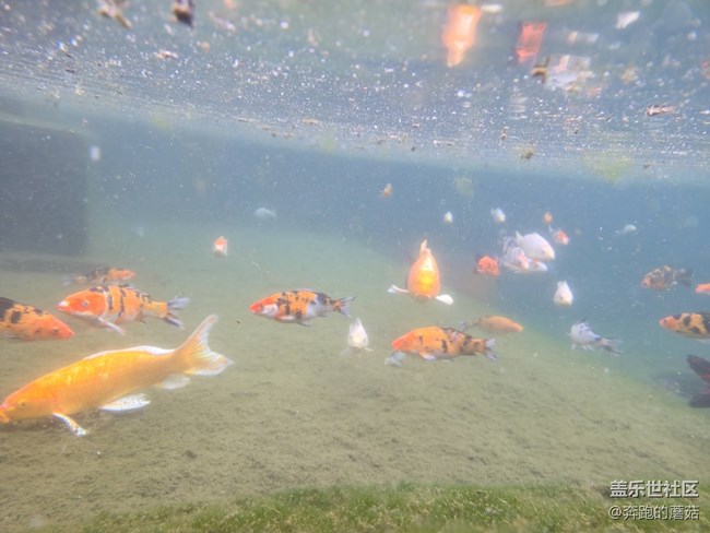 Fold6系列體驗(yàn)品鑒