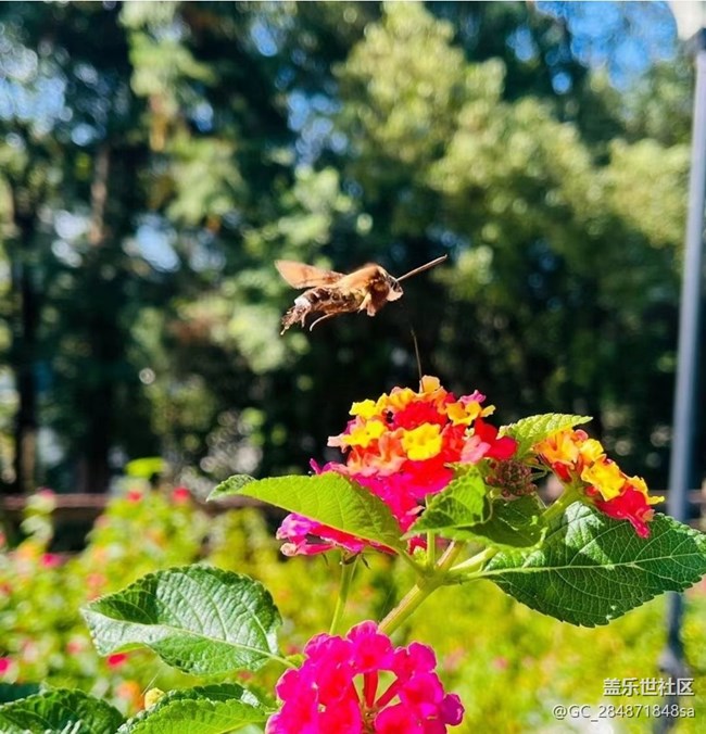 【秋暮冬初】蝶戀花