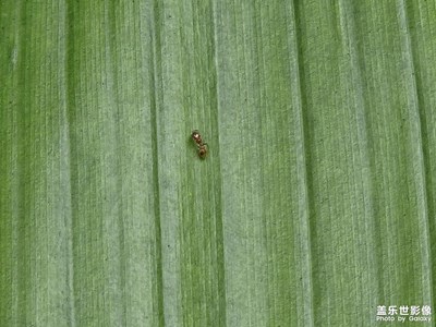 【見微知著】+秋冬世界