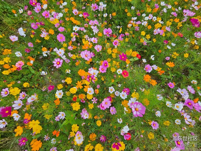 已開獎【Note版十一月第五周】Note手機里的春夏秋冬 已開獎【Note版十一月第五周】Note手機里的春夏秋冬