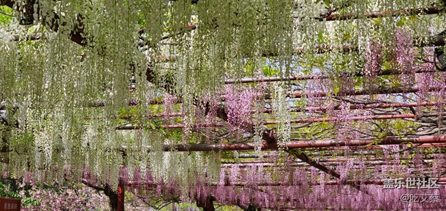 已開獎【Note版十一月第五周】Note手機里的春夏秋冬 已開獎【Note版十一月第五周】Note手機里的春夏秋冬