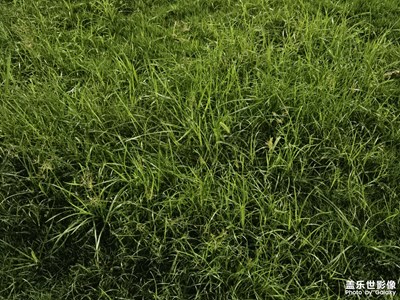 【斑斕蕭瑟】+?秋風(fēng)蕭瑟