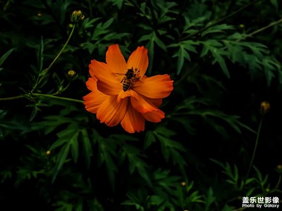 【見微知著】+放大的瞬間

