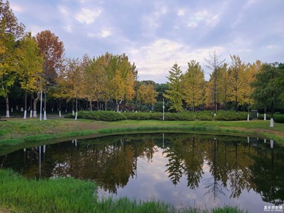 【斑斕蕭瑟】+ 寒風(fēng)蕭蕭