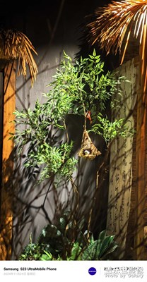 出來(lái)吃飯 店內(nèi)裝橫不錯(cuò) 隨手一拍