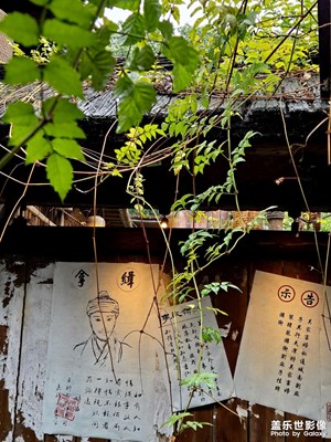 【斑斕蕭瑟】＋庭院餐廳一角??