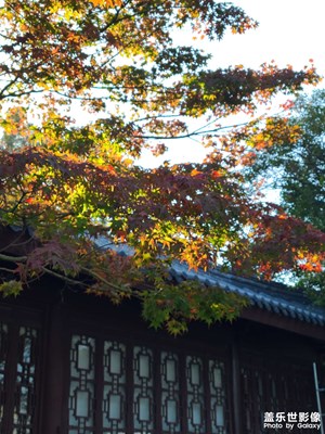 【斑斕蕭瑟】湖邊游玩