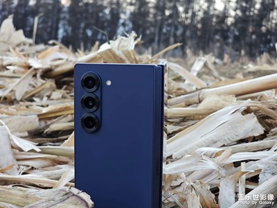 【斑斕蕭瑟】當(dāng)「冷夜藍(lán)??」遇上