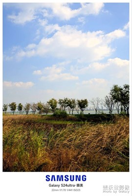 【斑斕蕭瑟】+堤上初冬