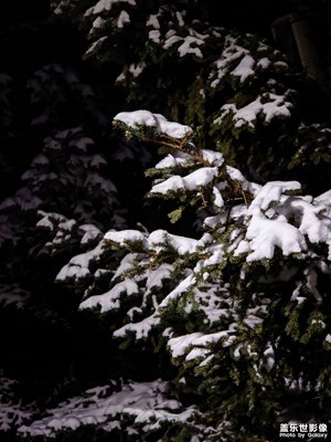 【見微知著】+ 今年的第一場(chǎng)大雪(第二場(chǎng)雪)