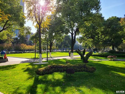 【斑斕蕭瑟】+ 公園隨拍