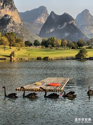 【如影隨形】悠然自得清波上