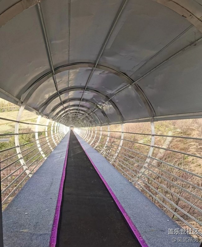 【秋意濃】櫻花