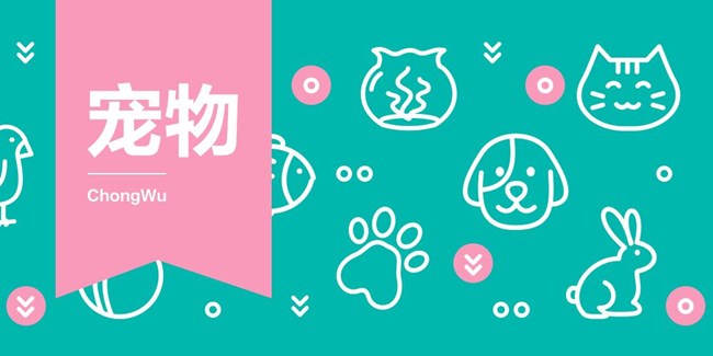 2024年蓋樂世社區(qū)版塊活動(dòng)第四十八周