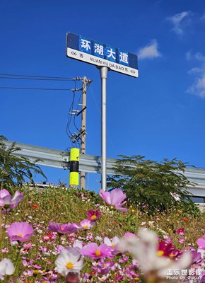 【如影隨形】+淀山湖美景