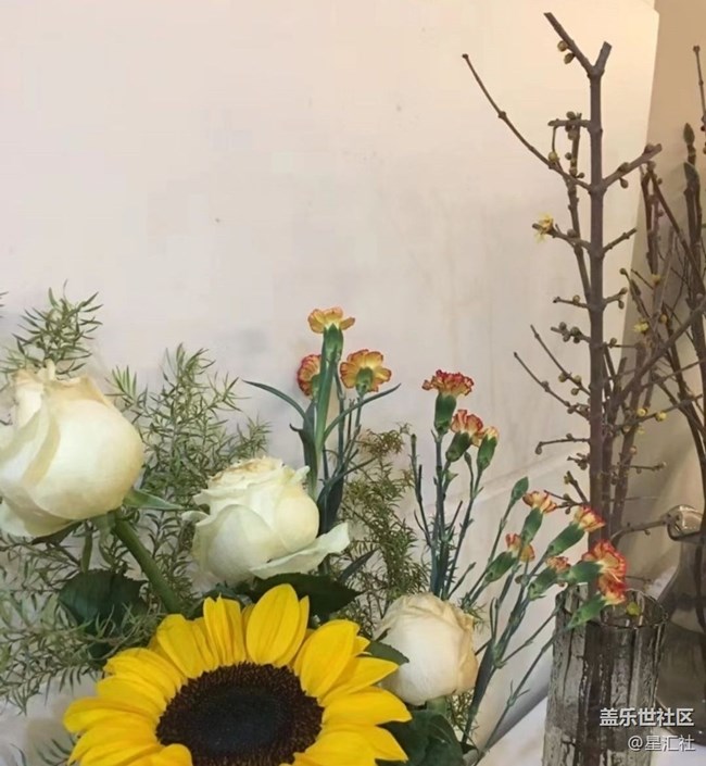 【秋暮冬初】靜待花開