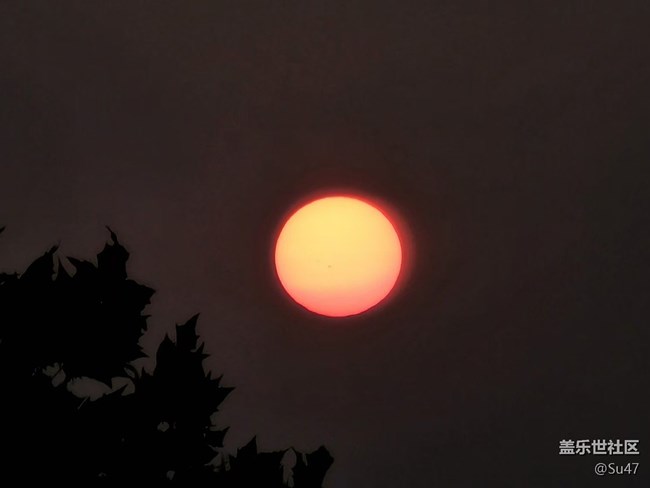 無聊跑個(gè)分，附幾張10倍鏡照片