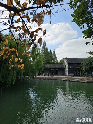 【如影隨形】+ 秋景