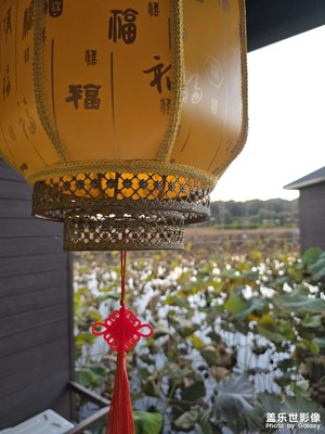 【如影隨形】冬