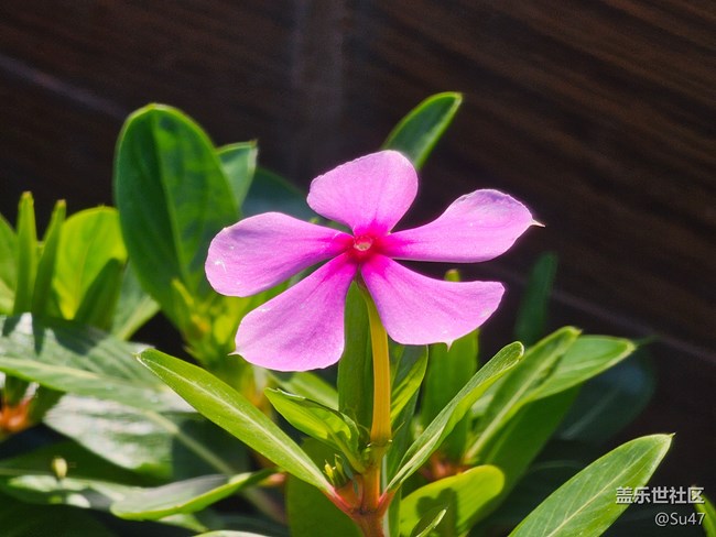 無聊跑個(gè)分，附幾張10倍鏡照片