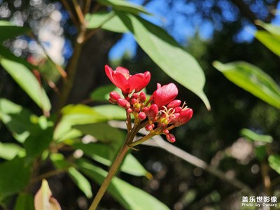 【見(jiàn)微知著】冬日暖陽(yáng)