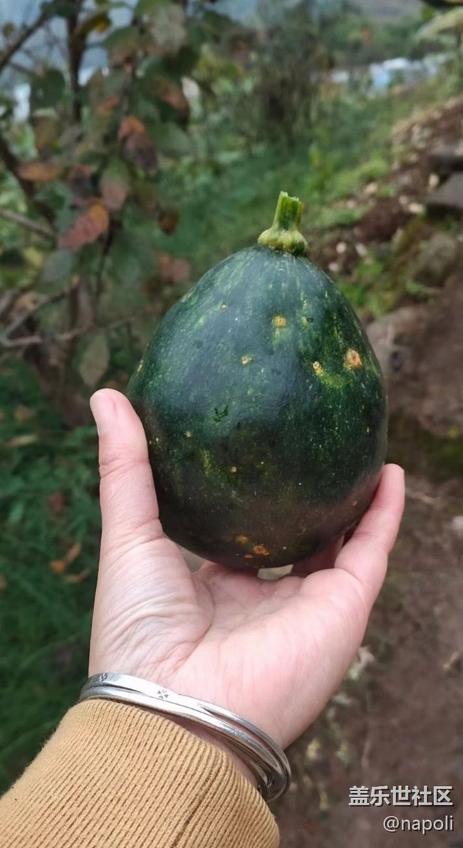 【金色回憶】回村掃蕩