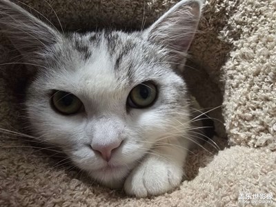 【如影隨形】+?天光云影