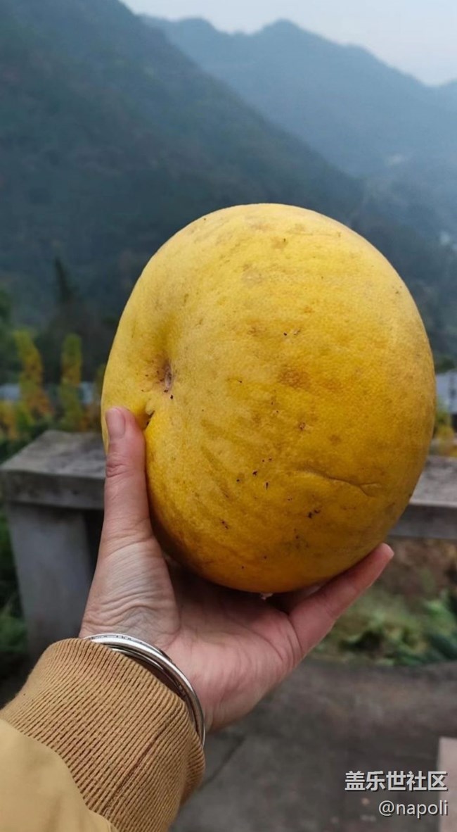 【金色回憶】回村掃蕩