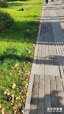 【如影隨形】+ 在路上