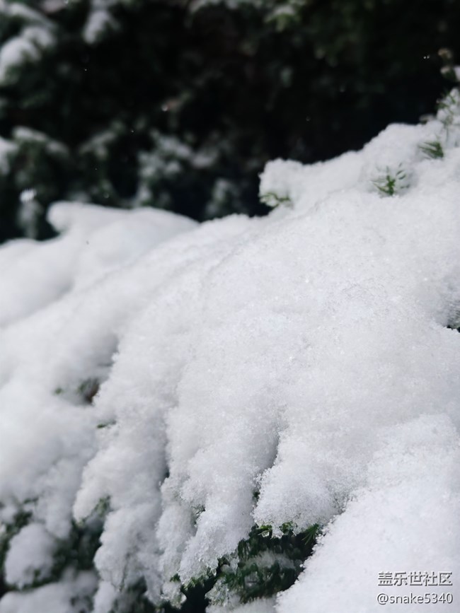 【人生是曠野】+晶瑩的雪