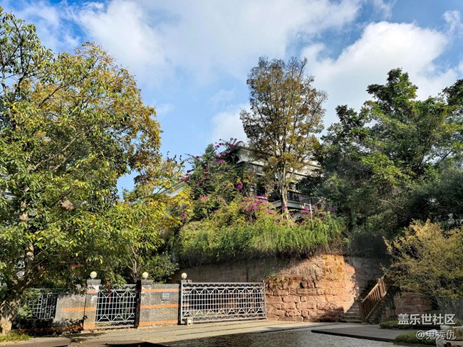 【人生是曠野】飛翔