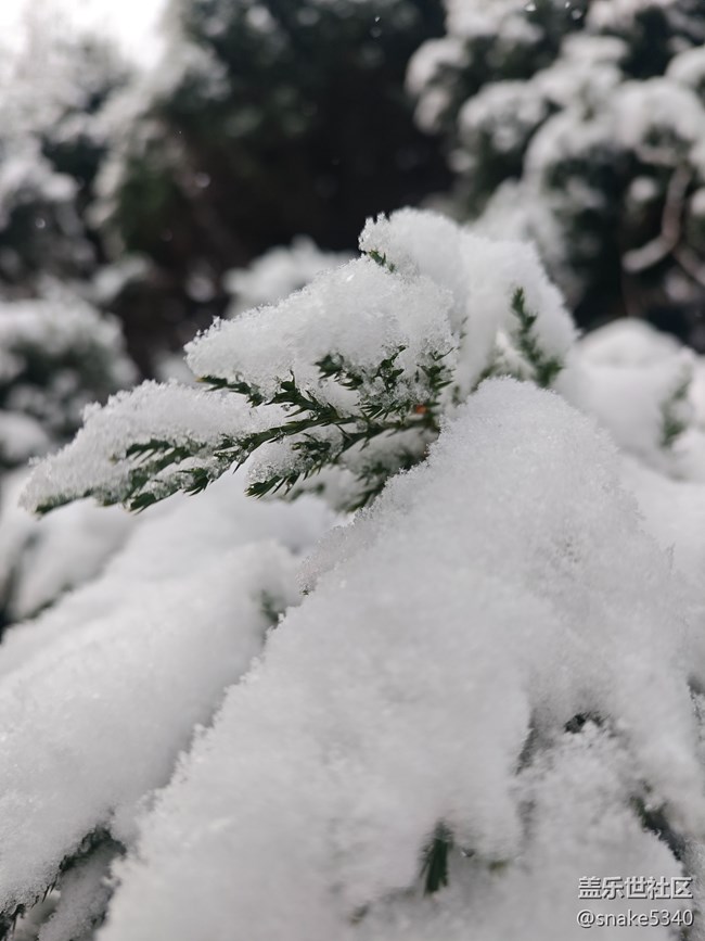 【人生是曠野】+晶瑩的雪